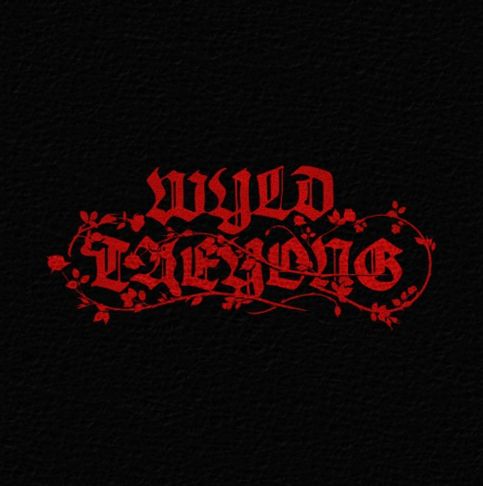 [PREORDER] TAEYONG (NCT) 1st Full Album 'WYLD' (WYLD BOOK Ver.)