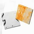 [PREORDER] V8 (SEVENTEEN) 1st Mini Album 'V8' (RATS NEST Ver. / REV Ver.)