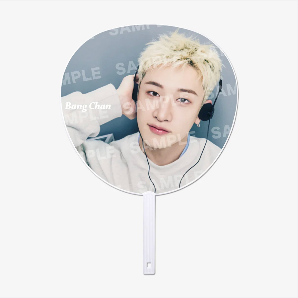 [PREORDER] Stray Kids "RUN IT JAPAN" MD - IMAGE PICKET (B)