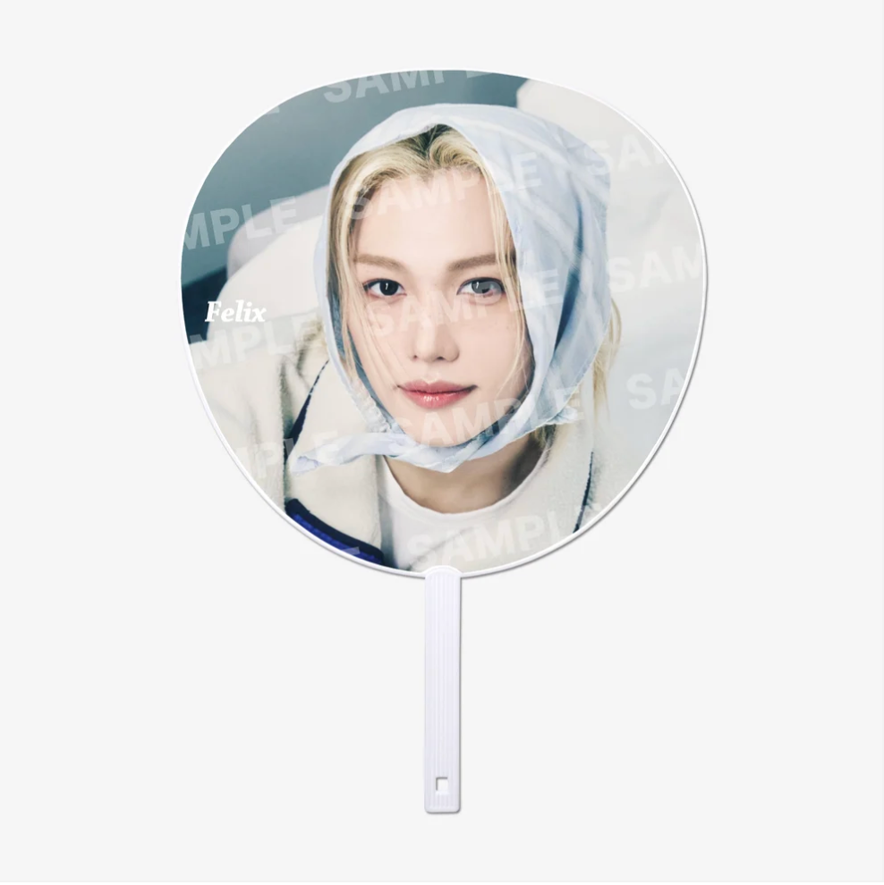[PREORDER] Stray Kids "RUN IT JAPAN" MD - IMAGE PICKET (B)