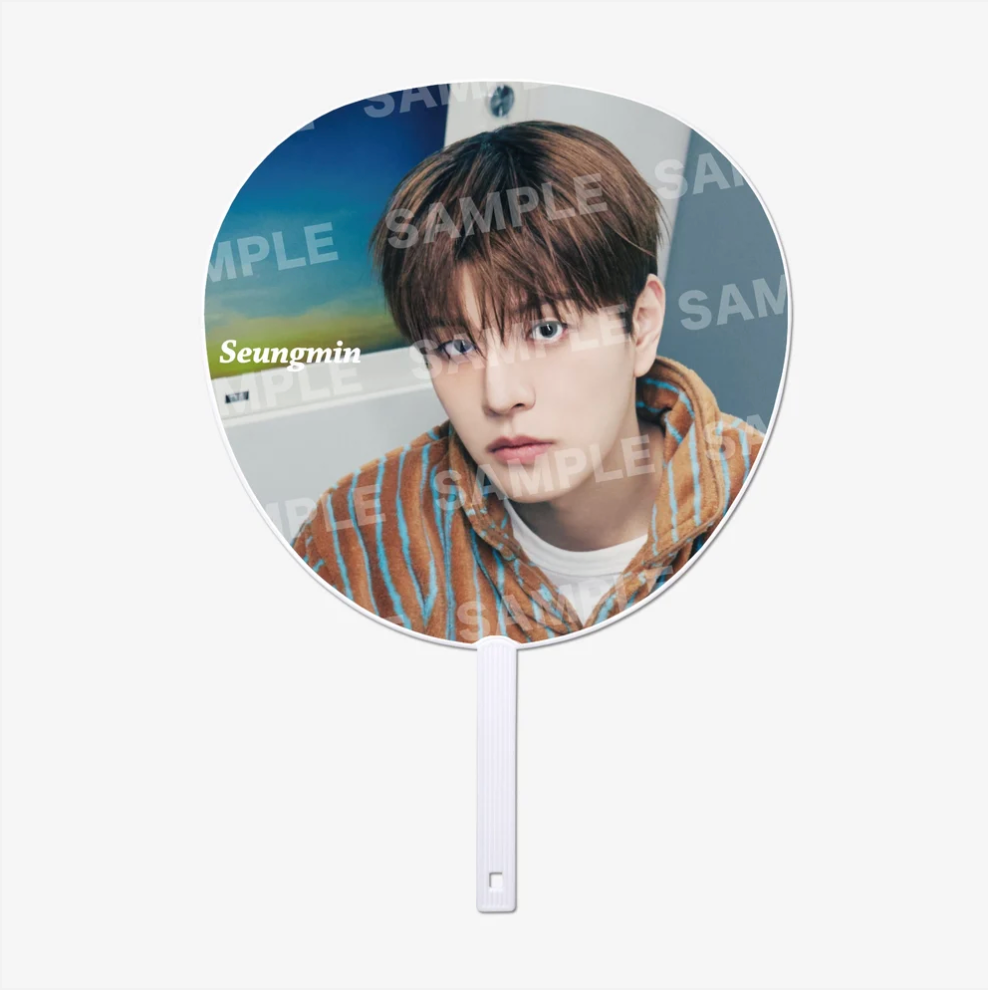 [PREORDER] Stray Kids "RUN IT JAPAN" MD - IMAGE PICKET (B)