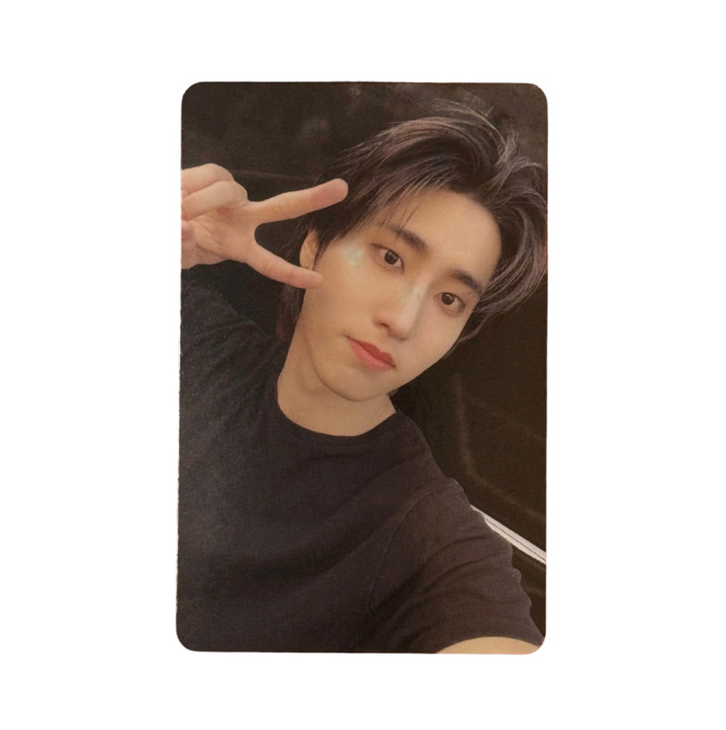 Stray Kids 'THIS & THAT' Aladin POB Benefit Photocard