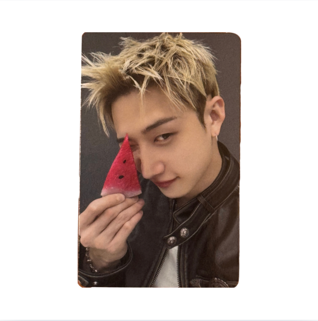 Stray Kids 'THIS & THAT' FANS Shop POB Benefit Photocard