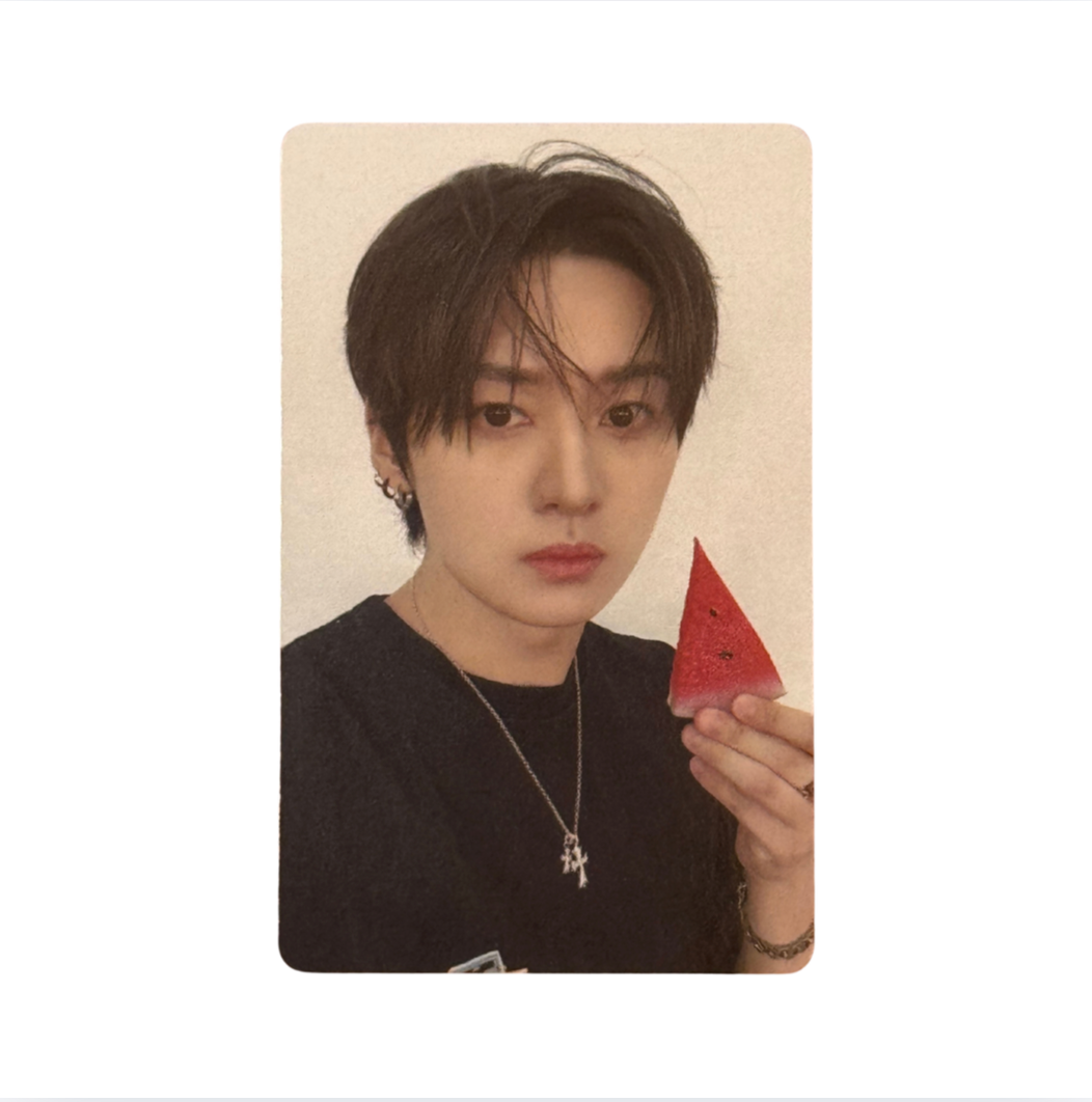Stray Kids 'THIS & THAT' FANS Shop POB Benefit Photocard