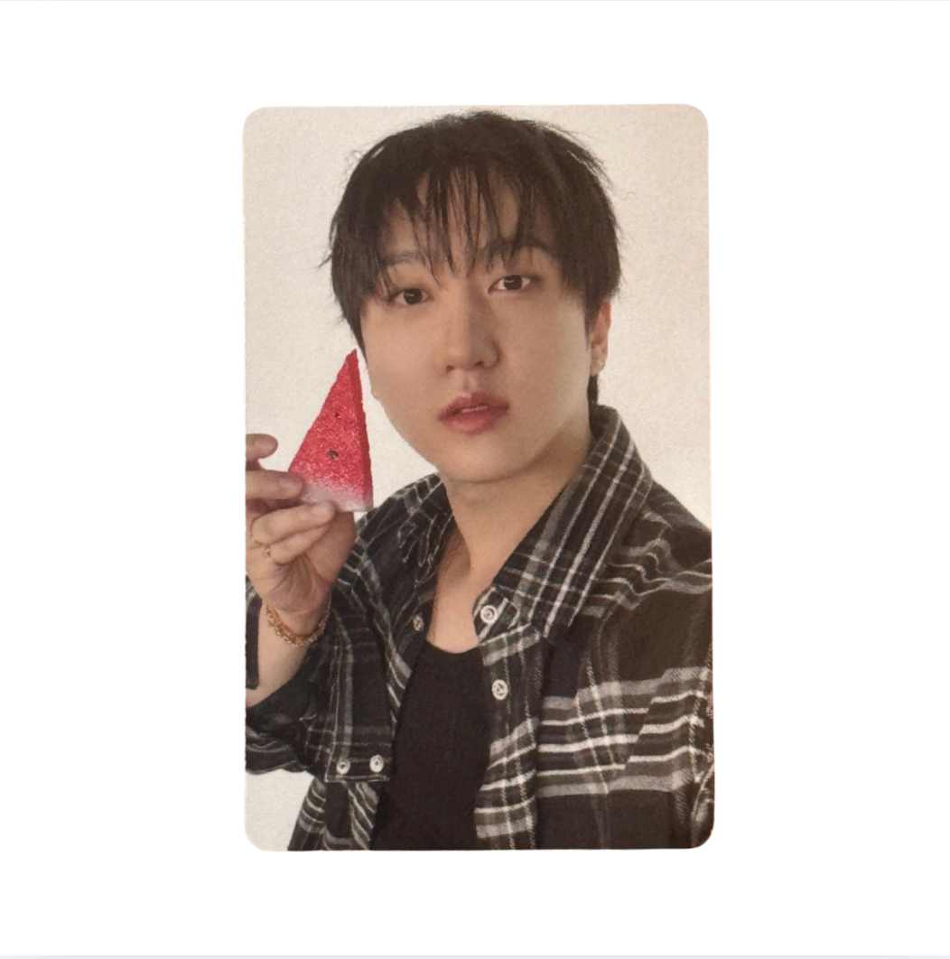Stray Kids 'THIS & THAT' FANS Shop POB Benefit Photocard