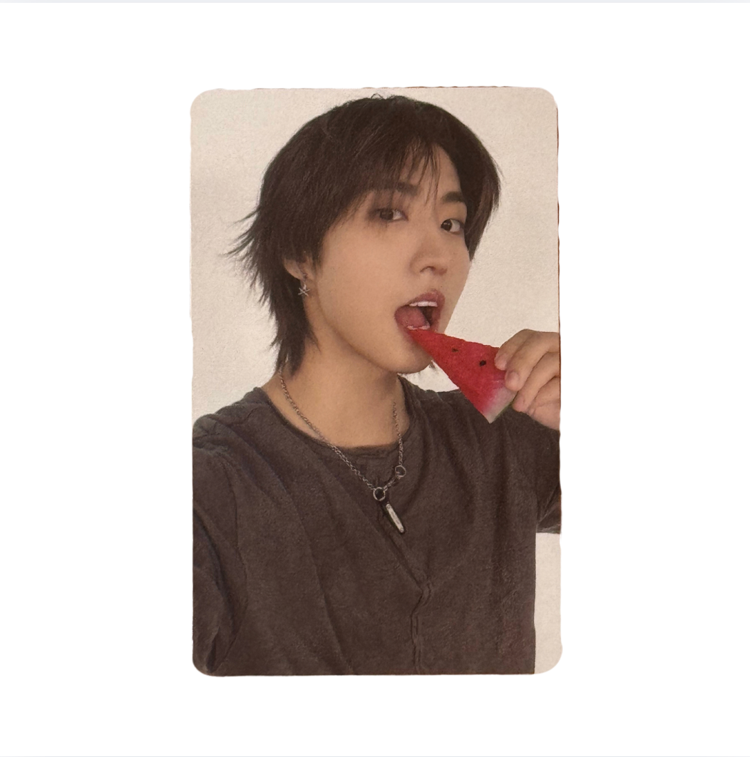 Stray Kids 'THIS & THAT' FANS Shop POB Benefit Photocard
