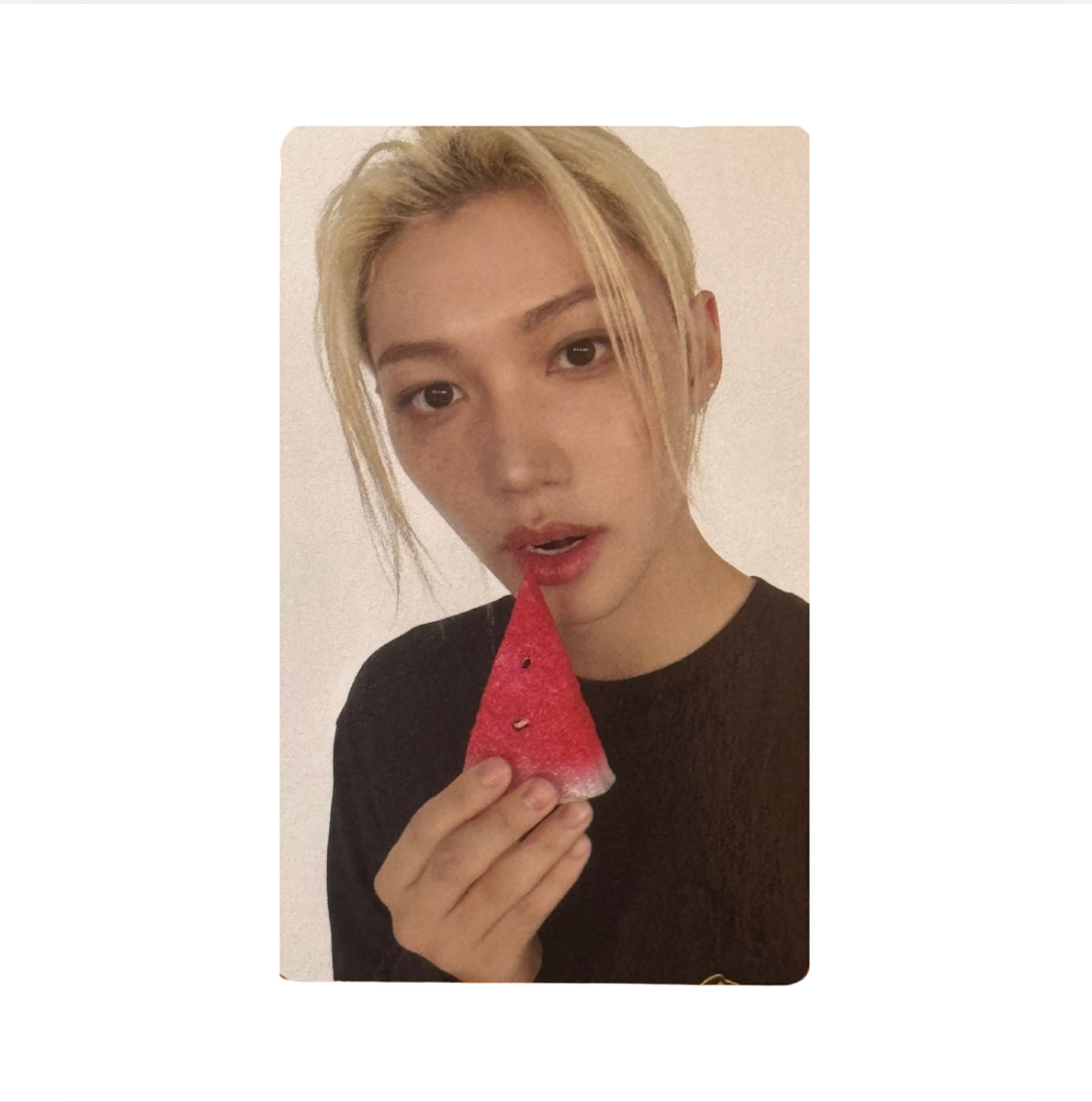 Stray Kids 'THIS & THAT' FANS Shop POB Benefit Photocard
