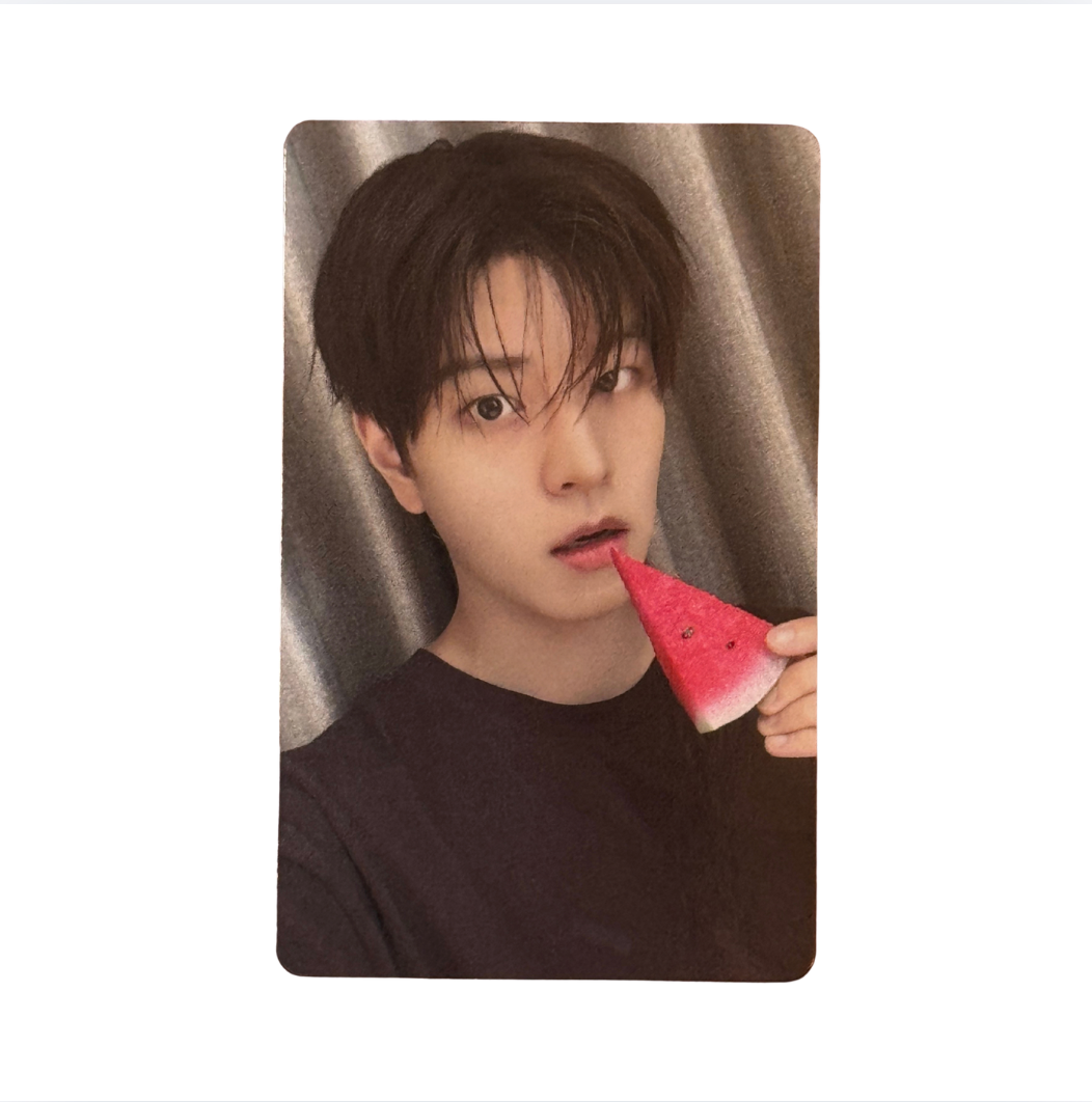 Stray Kids 'THIS & THAT' FANS Shop POB Benefit Photocard