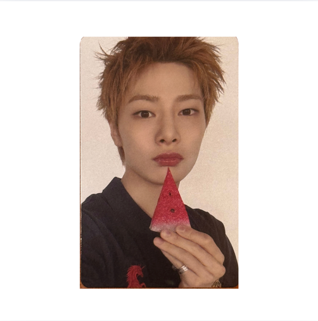 Stray Kids 'THIS & THAT' FANS Shop POB Benefit Photocard