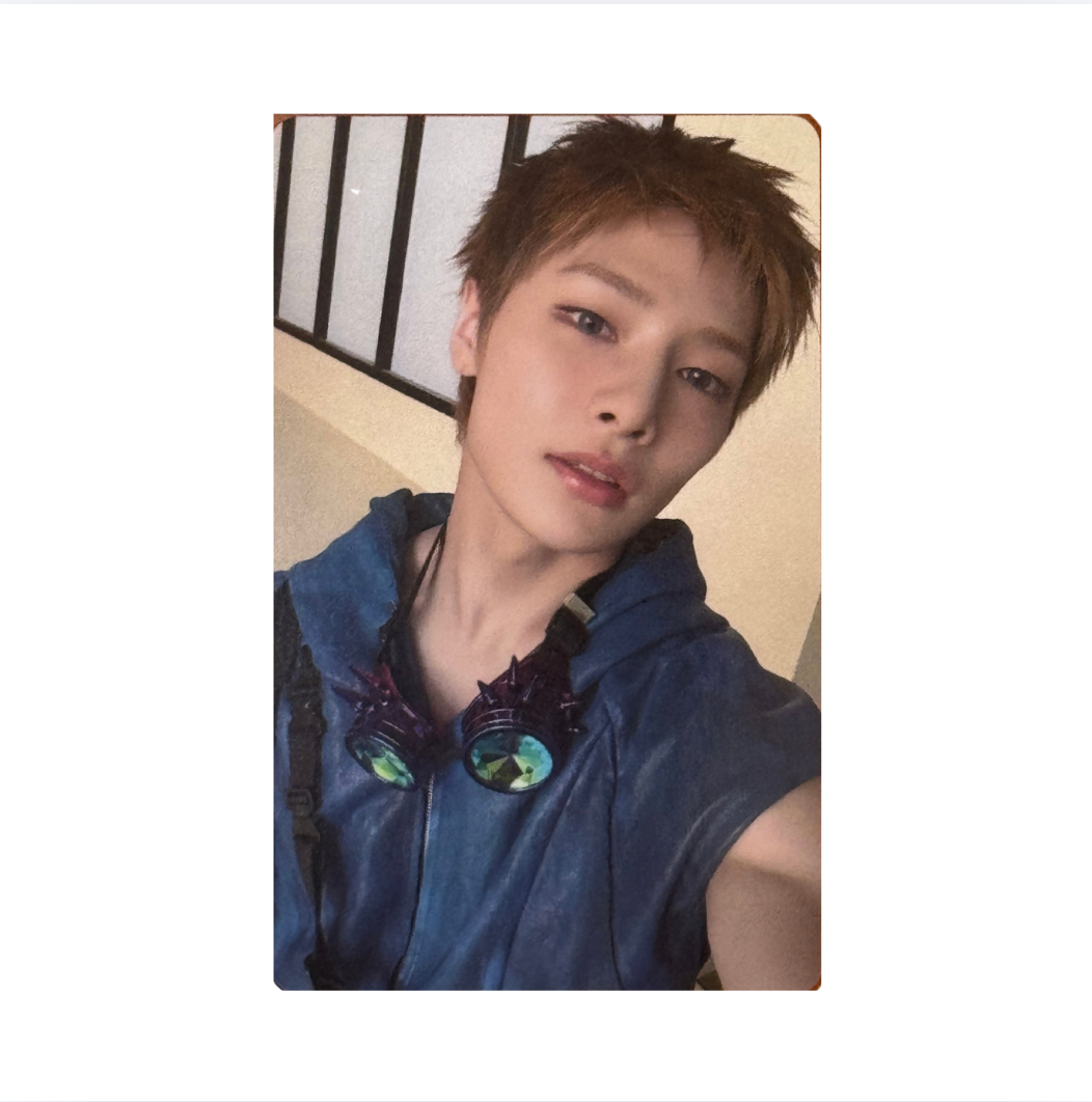 Stray Kids 'THIS & THAT' FANS Shop Fans Ver. POB Benefit Photocard