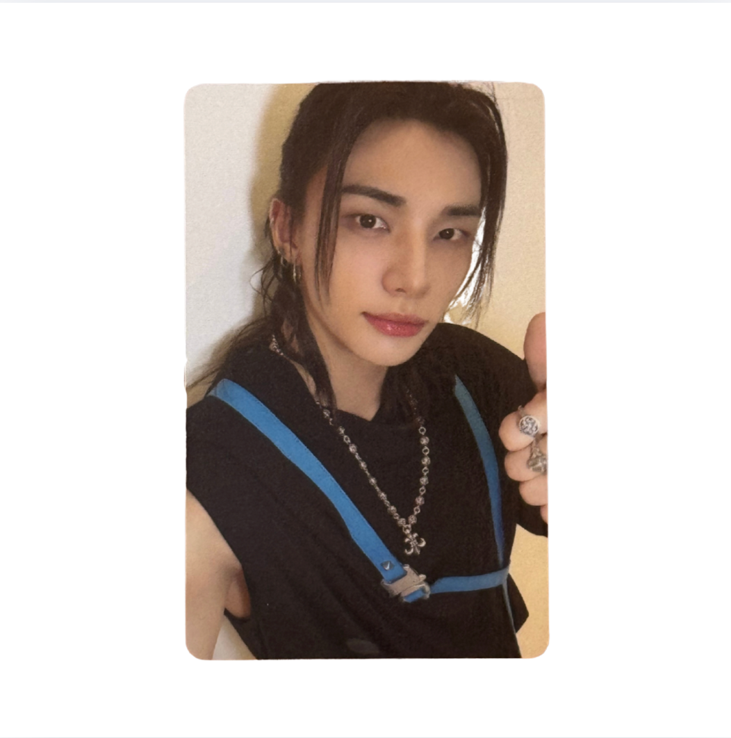 Stray Kids 'THIS & THAT' FANS Shop Fans Ver. POB Benefit Photocard