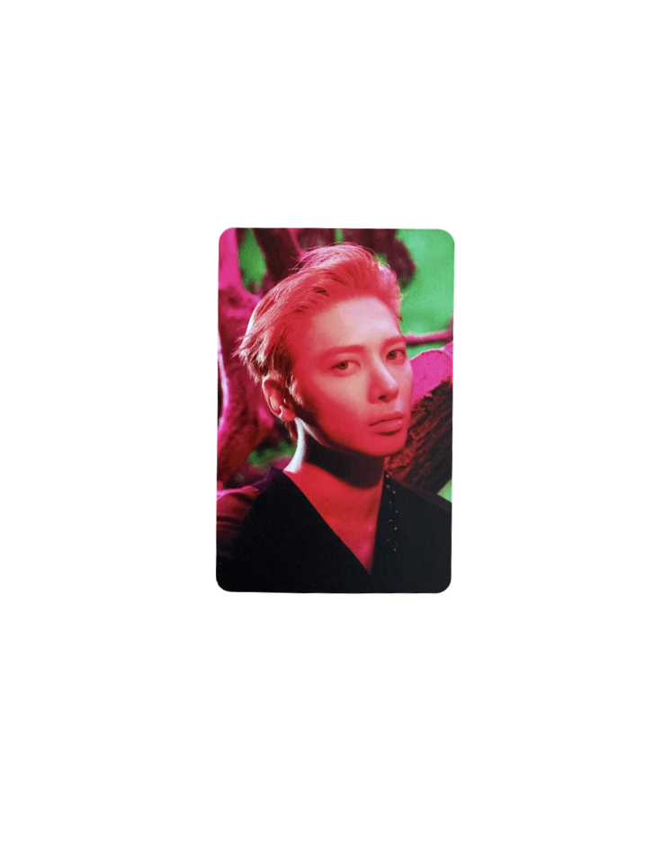 Official TOMORROW X TOGETHER '7TH YEAR : 가시덤불에 잠시 바람이 멈췄을 때' POB Limited Photocards