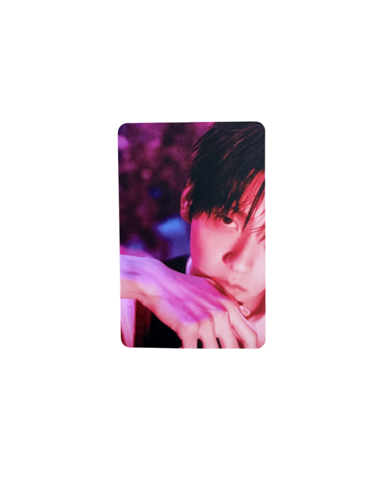 Official TOMORROW X TOGETHER '7TH YEAR : 가시덤불에 잠시 바람이 멈췄을 때' POB Limited Photocards