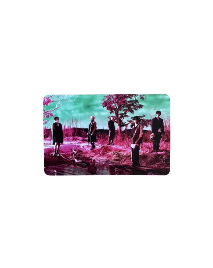 Official TOMORROW X TOGETHER '7TH YEAR : 가시덤불에 잠시 바람이 멈췄을 때' POB Limited Photocards