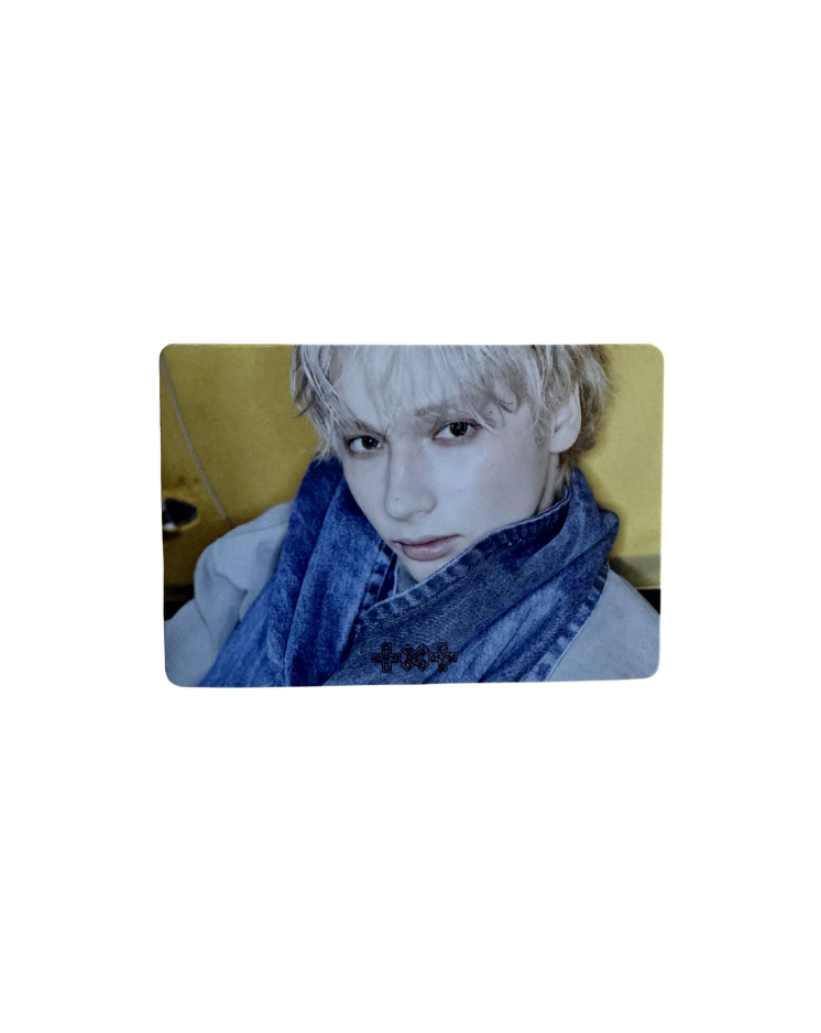 Official TOMORROW X TOGETHER '7TH YEAR : 가시덤불에 잠시 바람이 멈췄을 때' POB Limited Edition Photocard Magnets