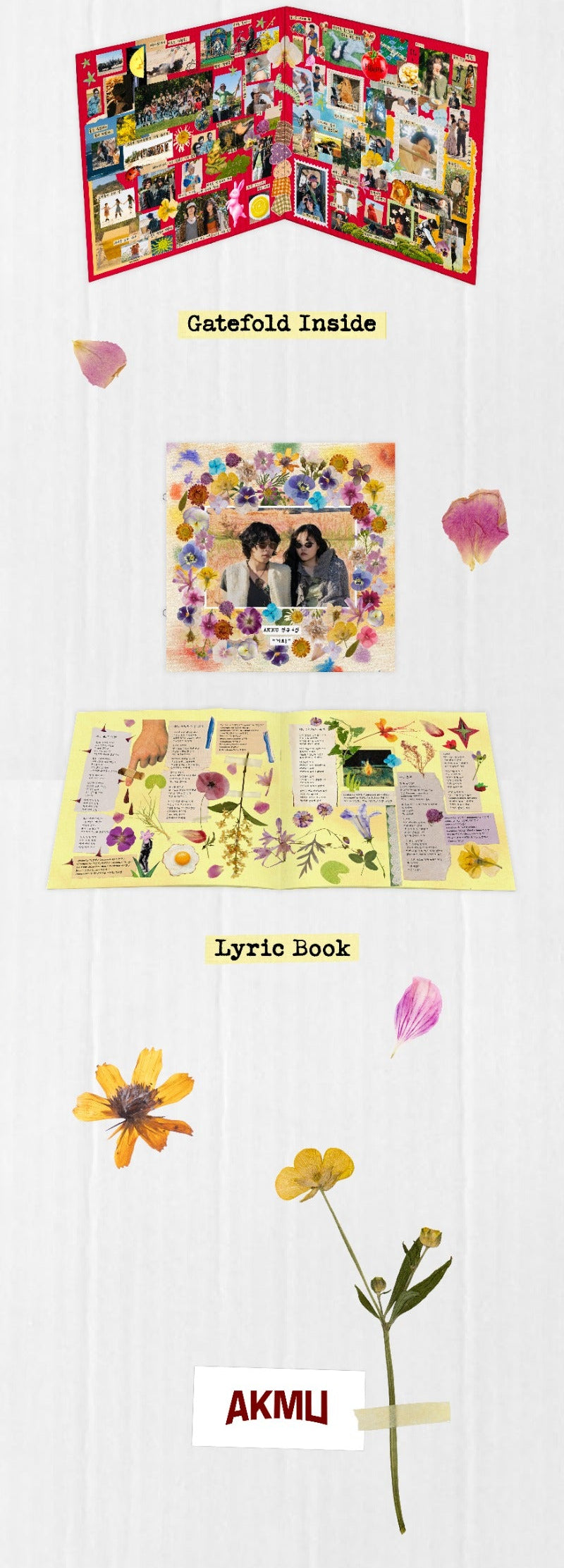 [PREORDER] AKMU 4th Album '개화' (LP)