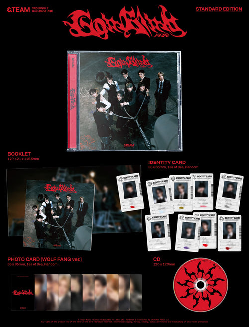 &TEAM 3rd Single 'Go in Blind' (Standard Edition)